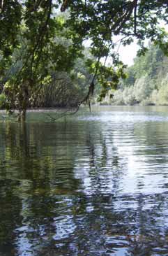 Fiume Ticino. Foto D. Turri