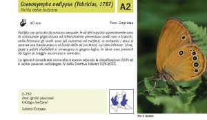 Fauna Pagina 299 A.jpg