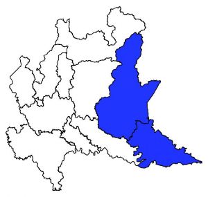 387 Allium su mappa.jpg