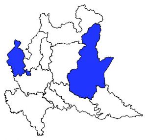 368 Aphyllanthes m mappa.jpg