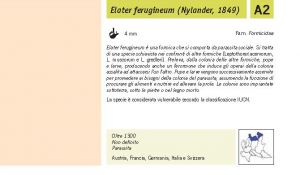 Fauna Pagina 302 A.jpg