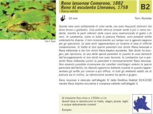 Fauna Pagina 310 A.jpg