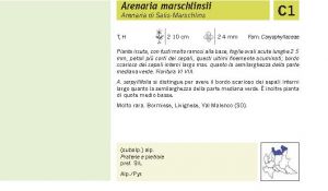 Flora Pagina 048 A.jpg