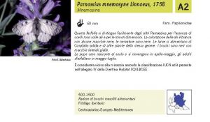 Fauna Pagina 296 A.jpg