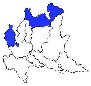 019 019 Botrychium matricariifolium mappa.jpg