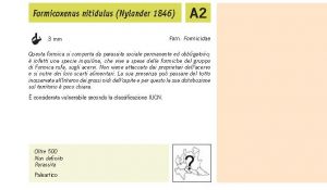 Fauna Pagina 301 B.jpg