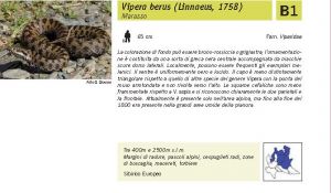 Fauna Pagina 320 B.jpg