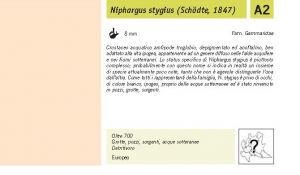 Fauna Pagina 286 A.jpg