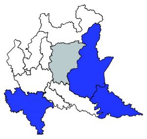 109 Ranunculus lingua mappa.jpg