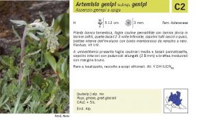 Flora Pagina 190 A.jpg