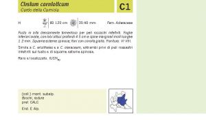 Flora Pagina 195 A.jpg