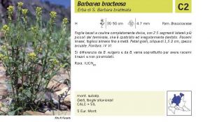 Flora Pagina 084 A.jpg