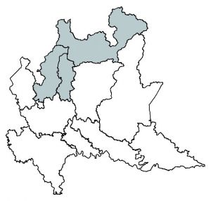 308 Campanula cerv mappa.jpg