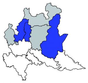 311 Campanula lat mappa.jpg