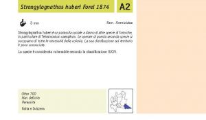 Fauna Pagina 303 A.jpg