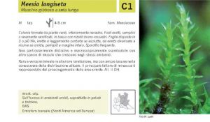 Flora Pagina 021 A.jpg