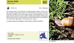 Fauna Pagina 283 A.jpg