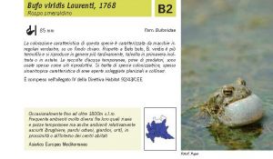 Fauna Pagina 309 A.jpg