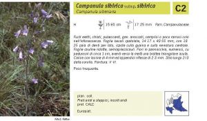 Flora Pagina 180 B.jpg