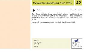 Fauna Pagina 300 B.jpg