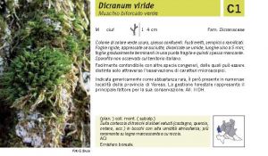 Flora Pagina 020 A.jpg