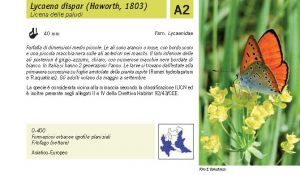 Fauna Pagina 297 A.jpg