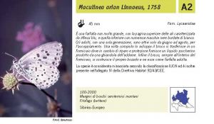 Fauna Pagina 298 A.jpg