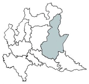 231 Cyclamen hed mappa.jpg