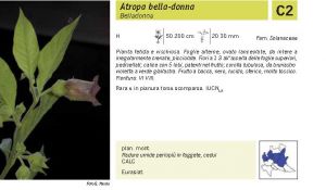 Flora Pagina 158 A.jpg