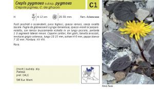 Flora Pagina 201 A.jpg