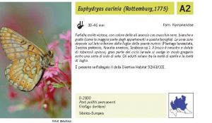 Fauna Pagina 298 B.jpg