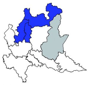 104 Ranunculus hybri mappa.jpg