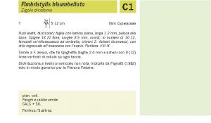 Flora Pagina 253 B.jpg