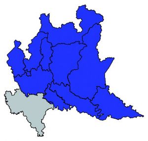 384 Allium a mappa.jpg