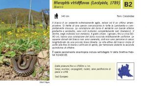 Fauna Pagina 318 A.jpg